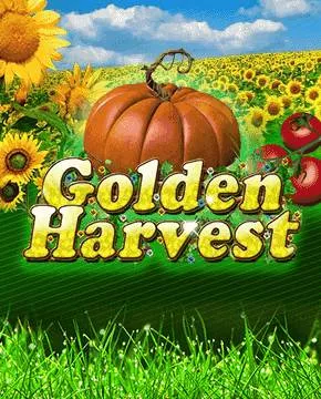 Golden Harvest